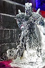 Click to see ic004