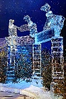 Click to see ic005