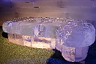 Click to see ic009
