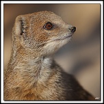 Nouveau sur le site mais ancien photographe &#33;-40d_9378-cs-cadre2.jpg