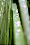 Nouveau sur le site mais ancien photographe &#33;-img_7986.jpg