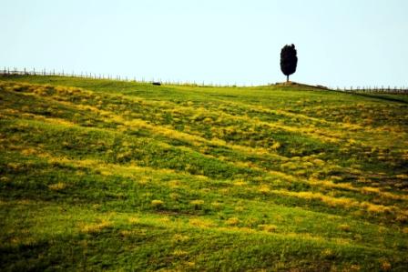Gallerie-img_7146.jpg