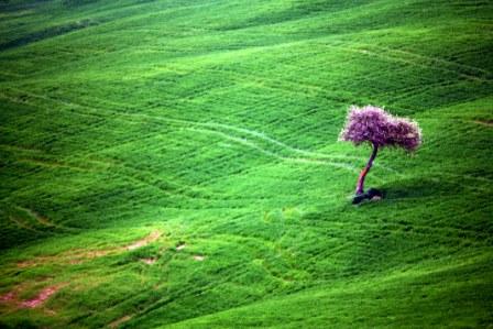 Gallerie-val-dorcia-21.jpg