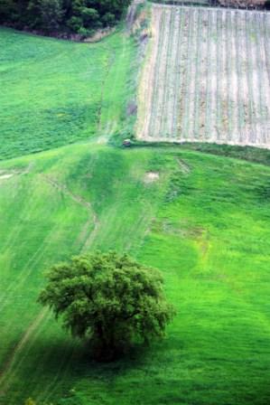 Gallerie-val-dorcia-28.jpg