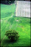 Gallerie-val-dorcia-28.jpg