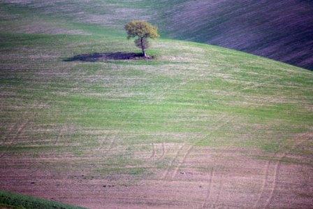 Gallerie-val-dorcia-11.jpg