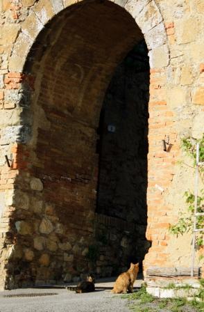 Gallerie-img_7158.jpg