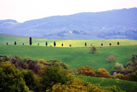 Gallerie-img_7622.jpg