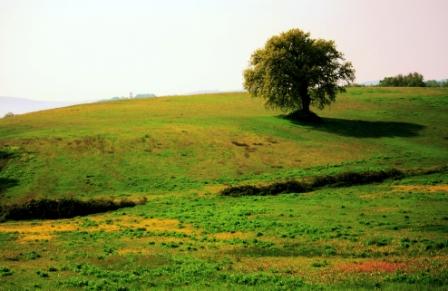 Gallerie-img_7185.jpg