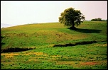 Gallerie-img_7185.jpg