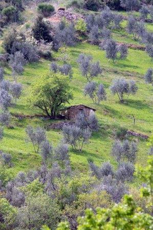 Gallerie-santantimo-3-toscane.jpg