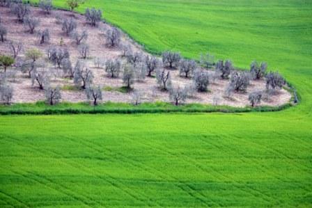 Gallerie-val-dorcia-20.jpg