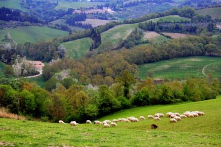 Gallerie-val-dorcia-19.jpg