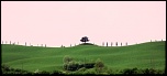 Gallerie-frise.jpg