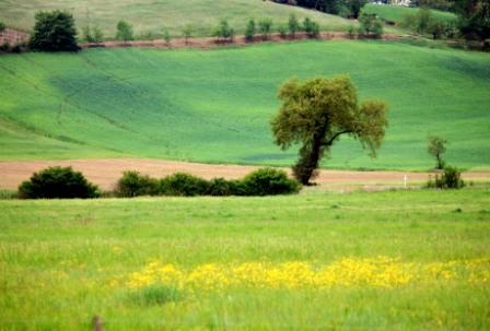 Gallerie-val-dorcia-33.jpg