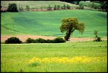 Gallerie-val-dorcia-33.jpg