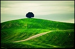 Gallerie-img_7354-1-2.jpg