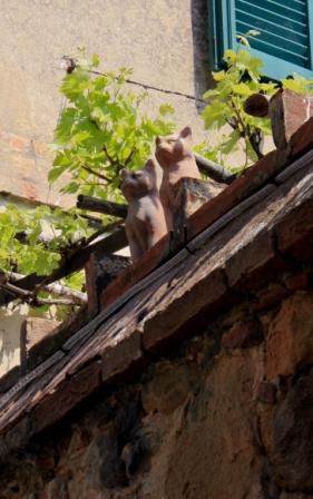 Gallerie-gatti-di-terracotta.jpg