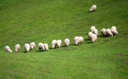 Gallerie-bien-ranges-toscane.jpg