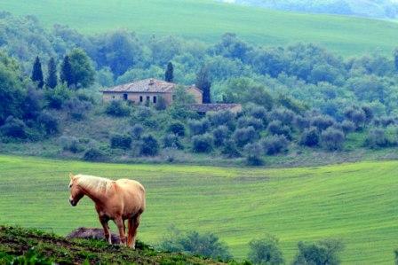 Gallerie-val-dorcia-29.jpg