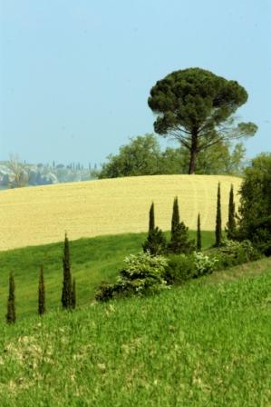Gallerie-img_6991.jpg