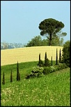 Gallerie-img_6991.jpg