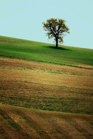 Gallerie-val-dorcia-6.jpg