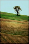 Gallerie-val-dorcia-6.jpg