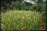 Naissance-img_9184.jpg