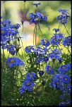 Naissance-img_9014.jpg