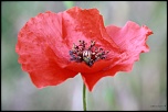 Naissance-img_9028.jpg