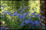 Naissance-img_9010.jpg