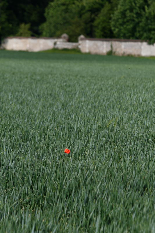 Naissance-img_1664.jpg