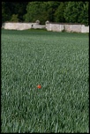 Naissance-img_1664.jpg