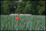Naissance-img_1665.jpg