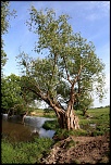 Naissance-img_1705.jpg