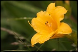Naissance-img_9448.jpg