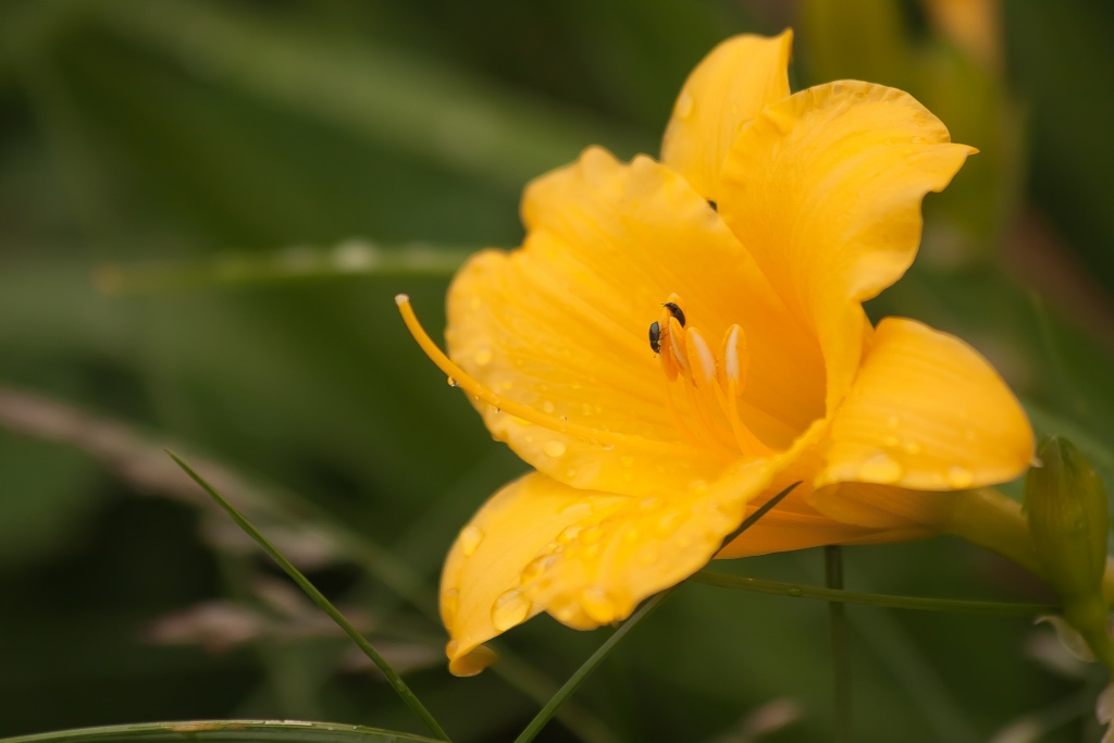 Naissance-img_9448.jpg