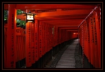 IMG 5446 jpeg modif cadre eos