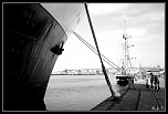 [Photo-Shop]Selection-img_4275_1-bordermaker.jpg