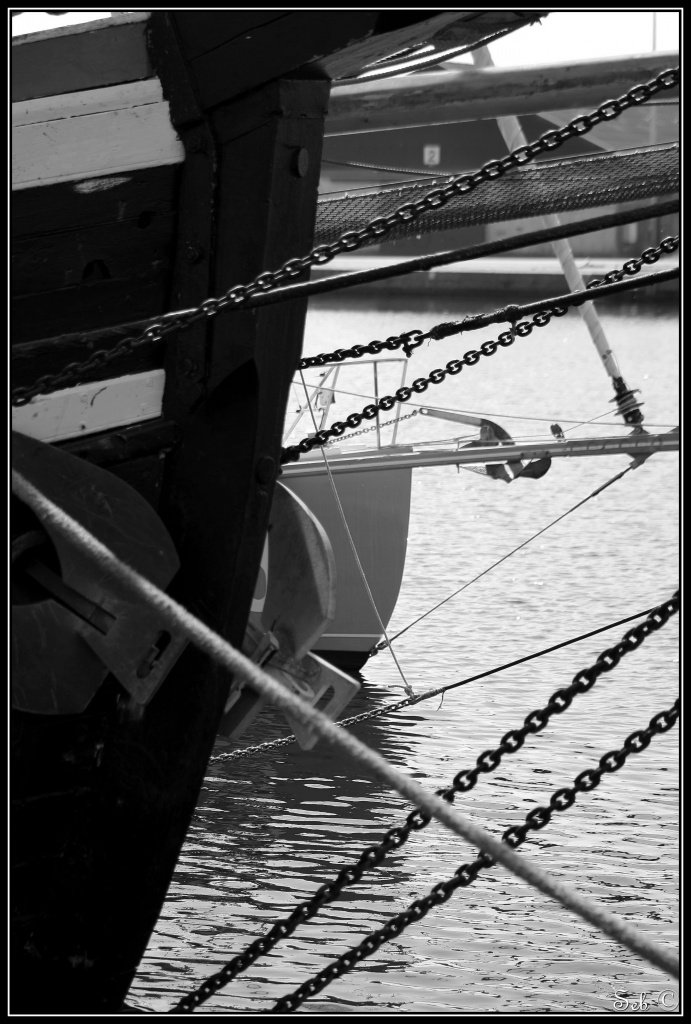 [Photo-Shop]Selection-img_4257_2-bordermaker.jpg