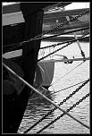 [Photo-Shop]Selection-img_4257_2-bordermaker.jpg