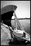 [Photo-Shop]Selection-img_4271_1-bordermaker.jpg