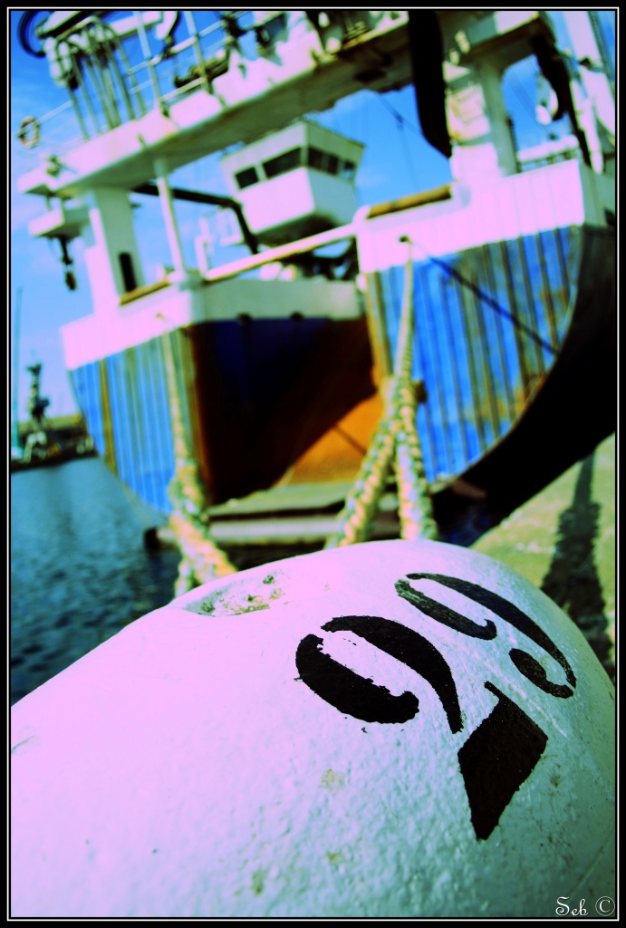 [Photo-Shop]Selection-img_4278_1-bordermaker.jpg