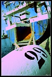 [Photo-Shop]Selection-img_4278_1-bordermaker.jpg