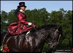 Bonjour...-europamazone-2011-212.jpg