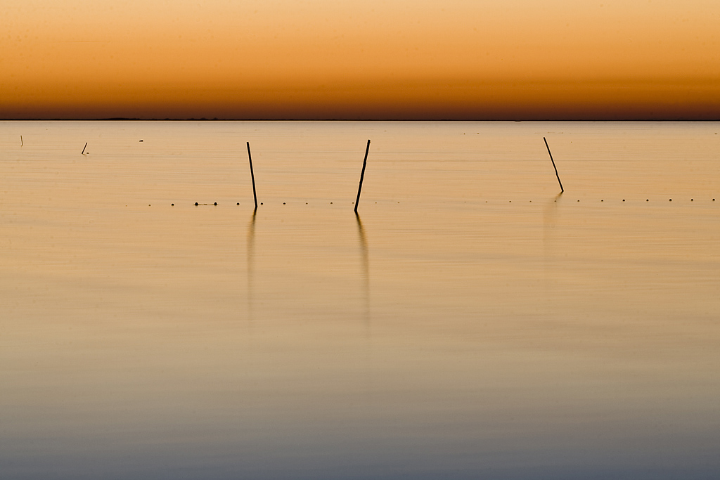 Pche en Camargue