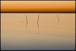 Pche en Camargue