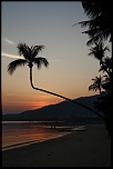 Vraiment chouette ce forum-koh-samui0025.jpg