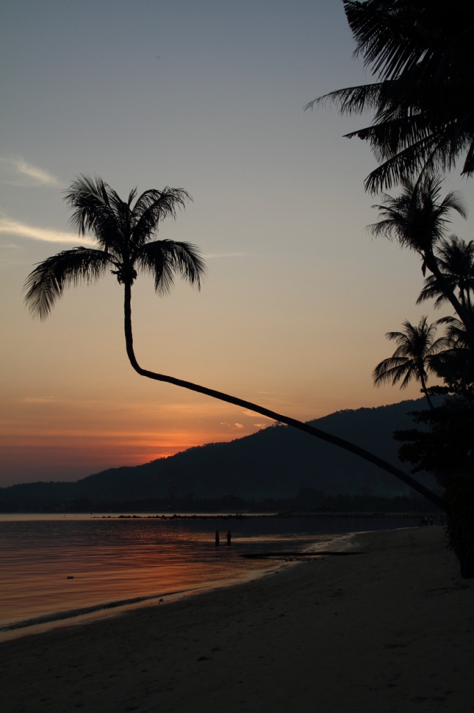 Vraiment chouette ce forum-koh-samui0025.jpg